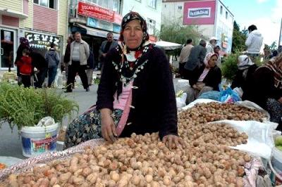 Kaman Ceviz ve Kültür Festivali Kaman Belediyesi Başkanı Erhan Talu 