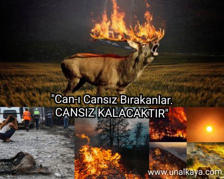 Yaktığınız Her CAN İçin Misli Misli Ateşte Kavrulun